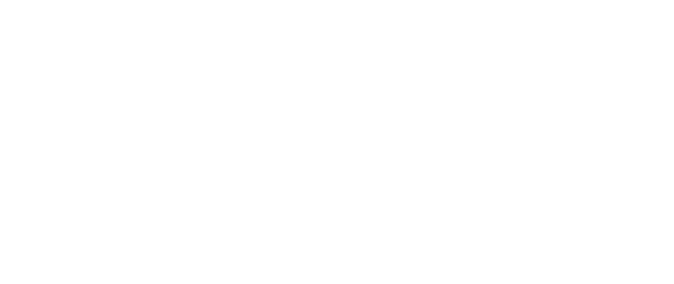 Примерный стратегический партнёр 2