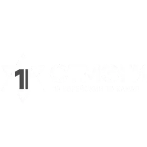 Примерный партнёр 1