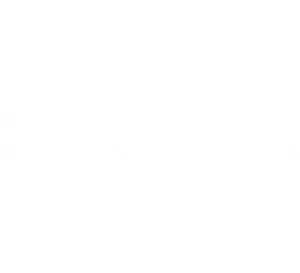 Примерный партнёр 2